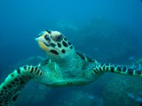 Pousada em Fernando de Noronha